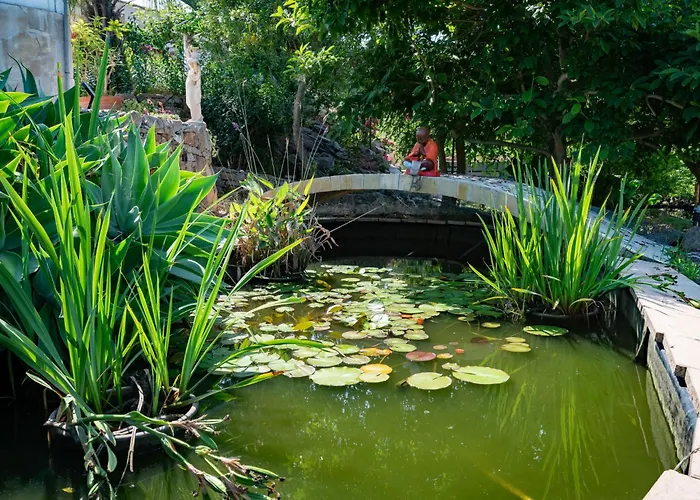 Campestra By Interhome Hébergement de vacances Coti-Chiavari (Corsica)
